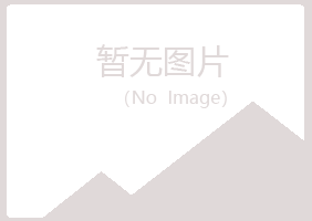 河北白山能源有限公司